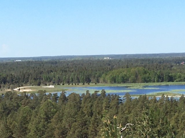 Viltvatten